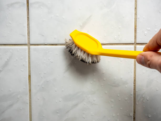 Best Bathroom Mold Remediation in Powderly, TX