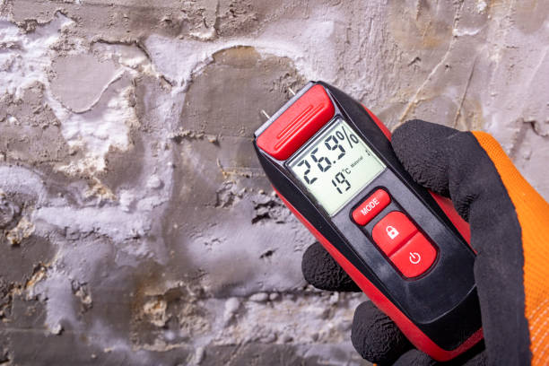 Best Mold Testing and Inspection Services in Powderly, TX