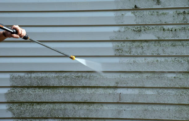 Best Residential Mold Remediation in Powderly, TX